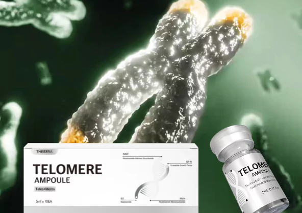 THESERA TELOMERE - žvaigždžių procedūra 