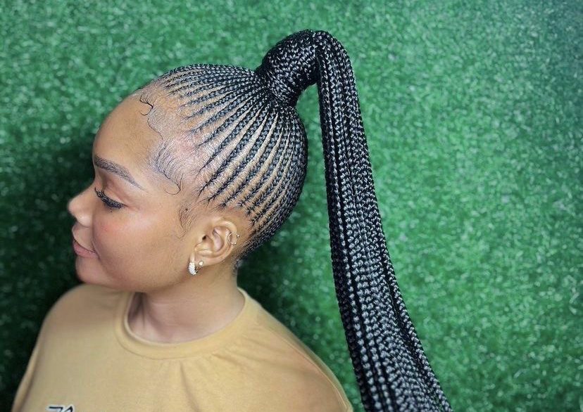 Small Braided ponytail 