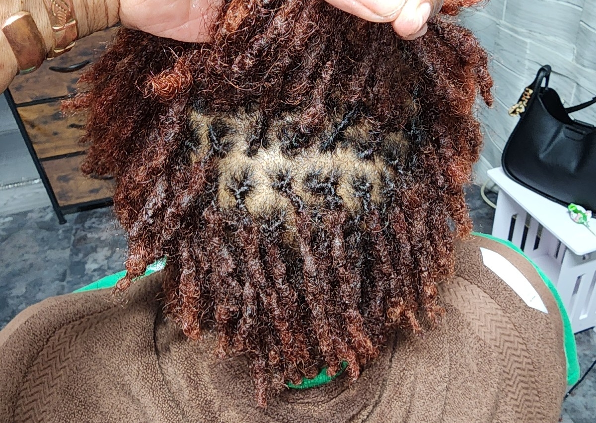 Small Micro locs two strand twists installment 