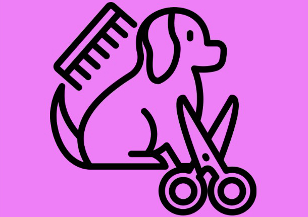 Full Service Groom S