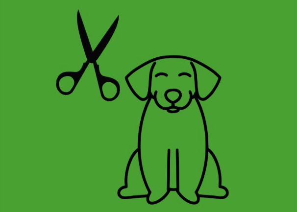 Hand-Scissor (No shaving)