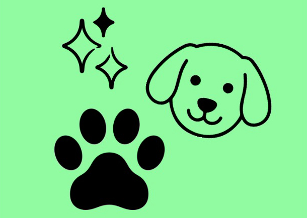 Face, Feet, & Sanitary S