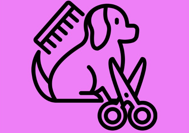 Full Service Groom L