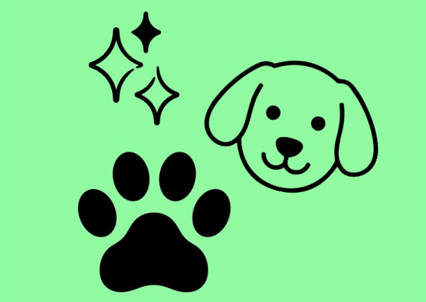 Face Feet & Sanitary L