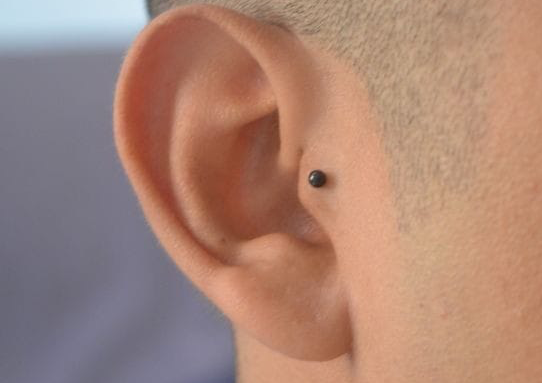 Tragus 