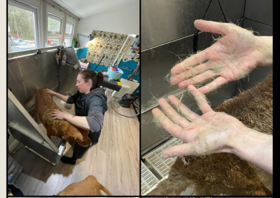 Mud bath add-on for shorthaired breeds 