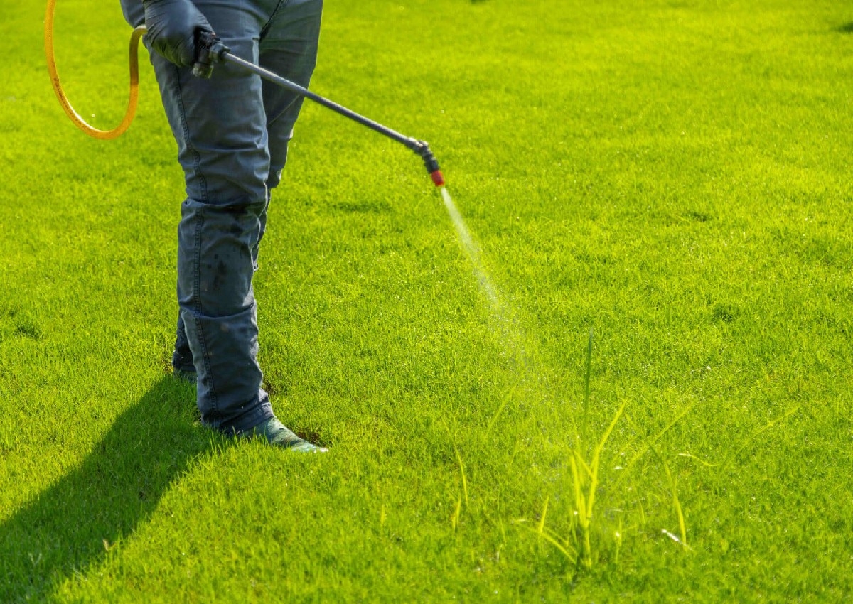 Lawn Treatments 