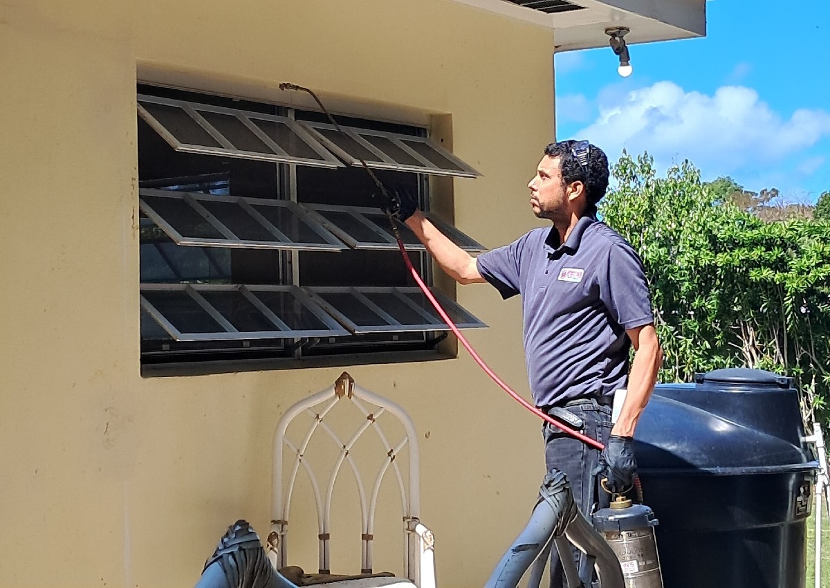 General Pest Control Service- Spray Treatment