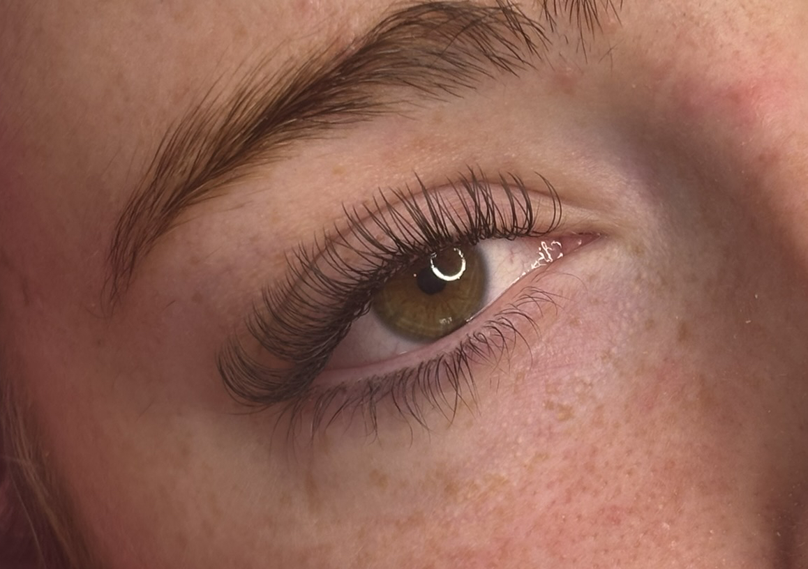 Brown classic lashes 