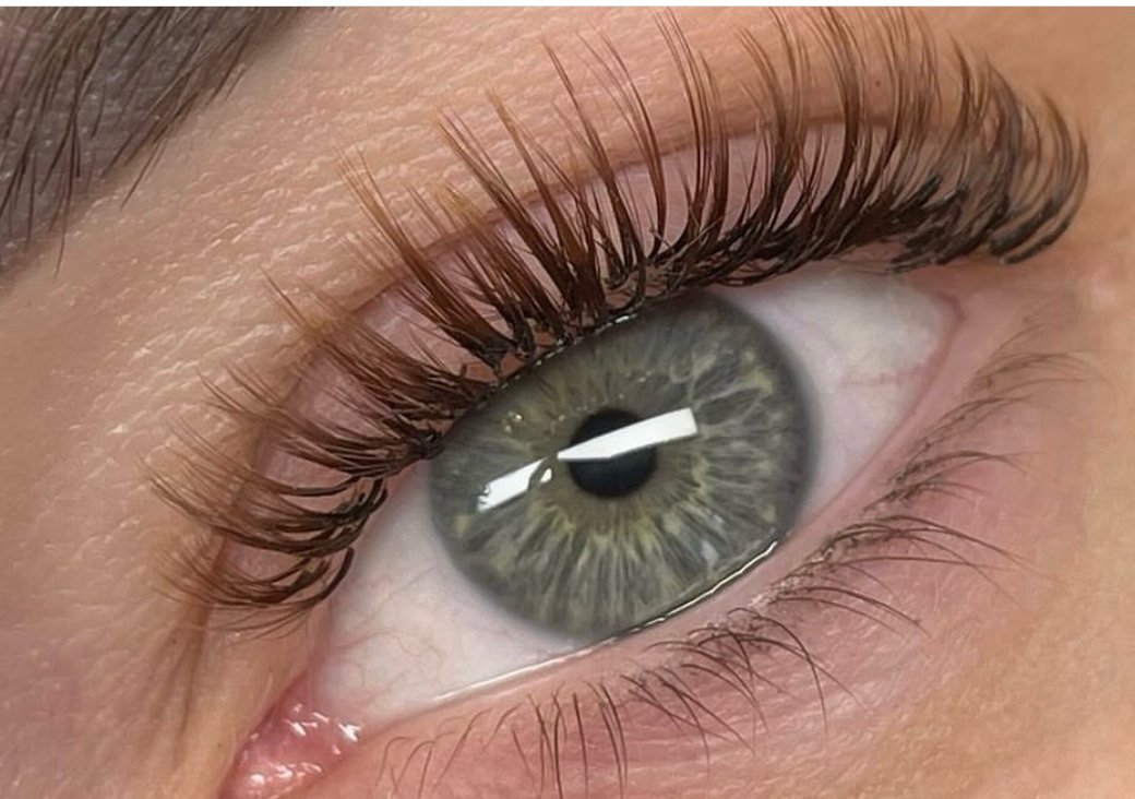 Brown Lashes (hybrids)