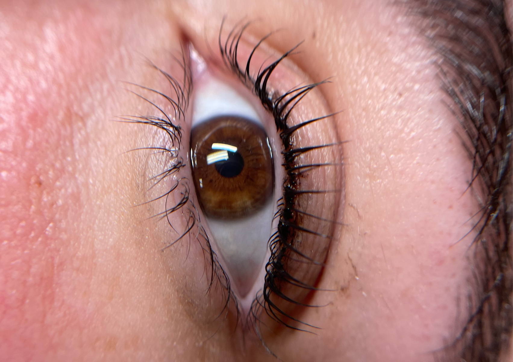 Korean Lash Lift + Tint