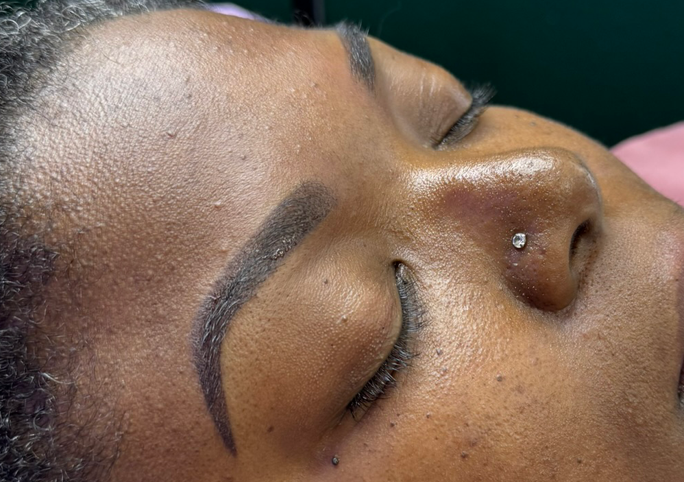 Ombré Eyebrows: Microshading