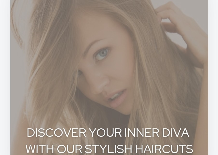 Senior Citizen Dry Cut 