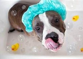 Luxury bath 25lbs - 45lbs