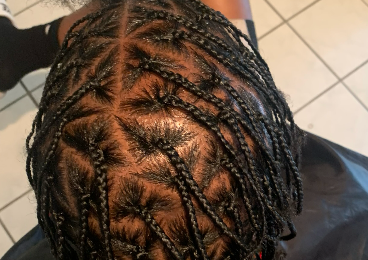 Plaits Braids No Extensions