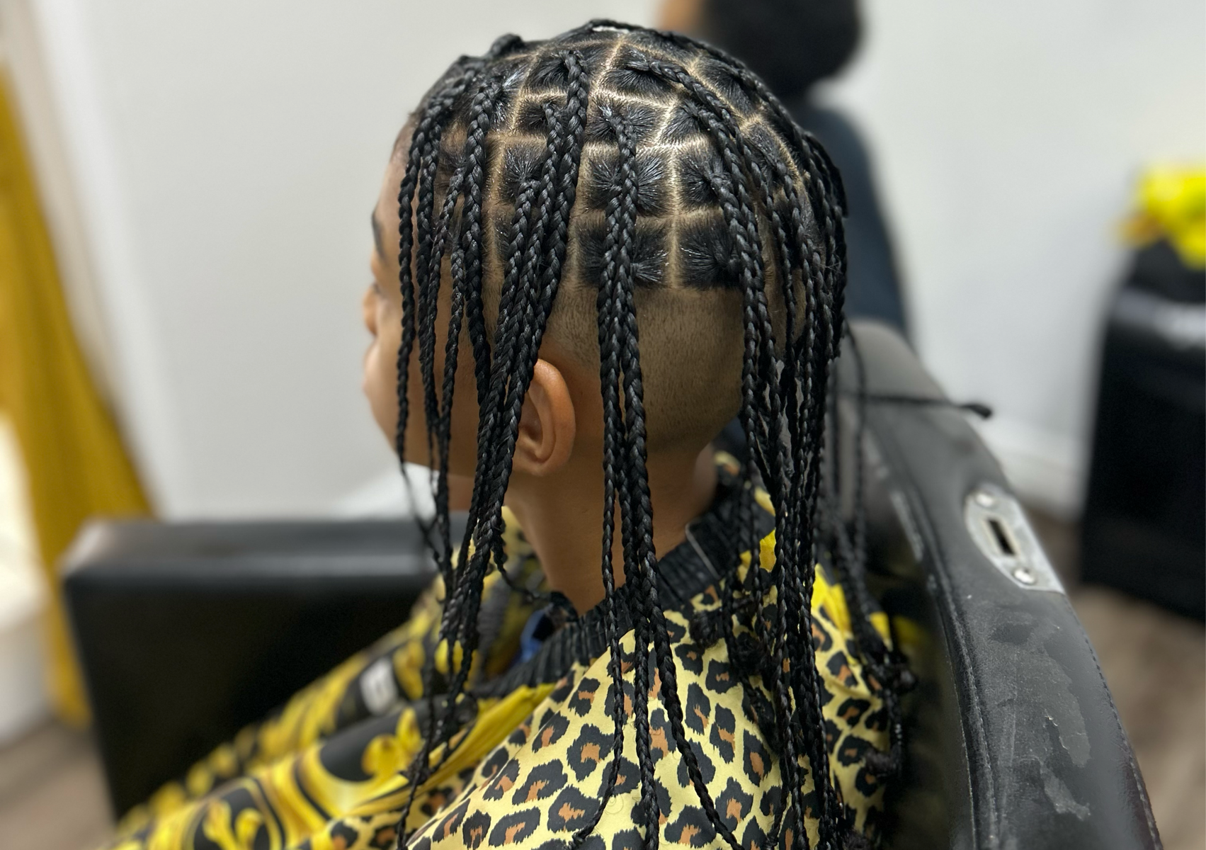 Natural Hair BOX BRAIDS