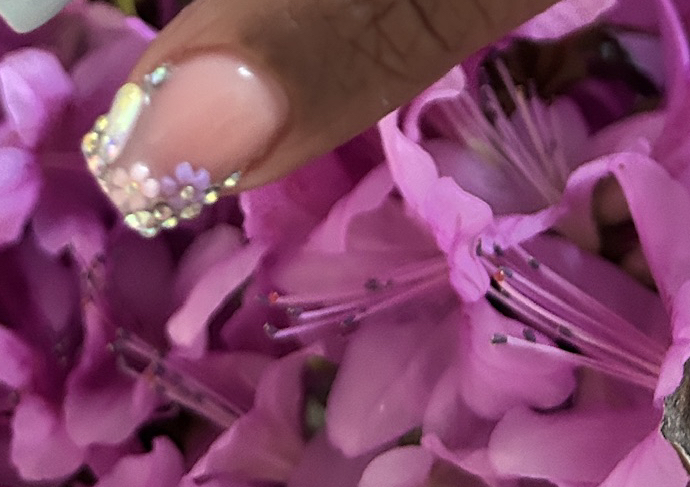 2 Bling Style French