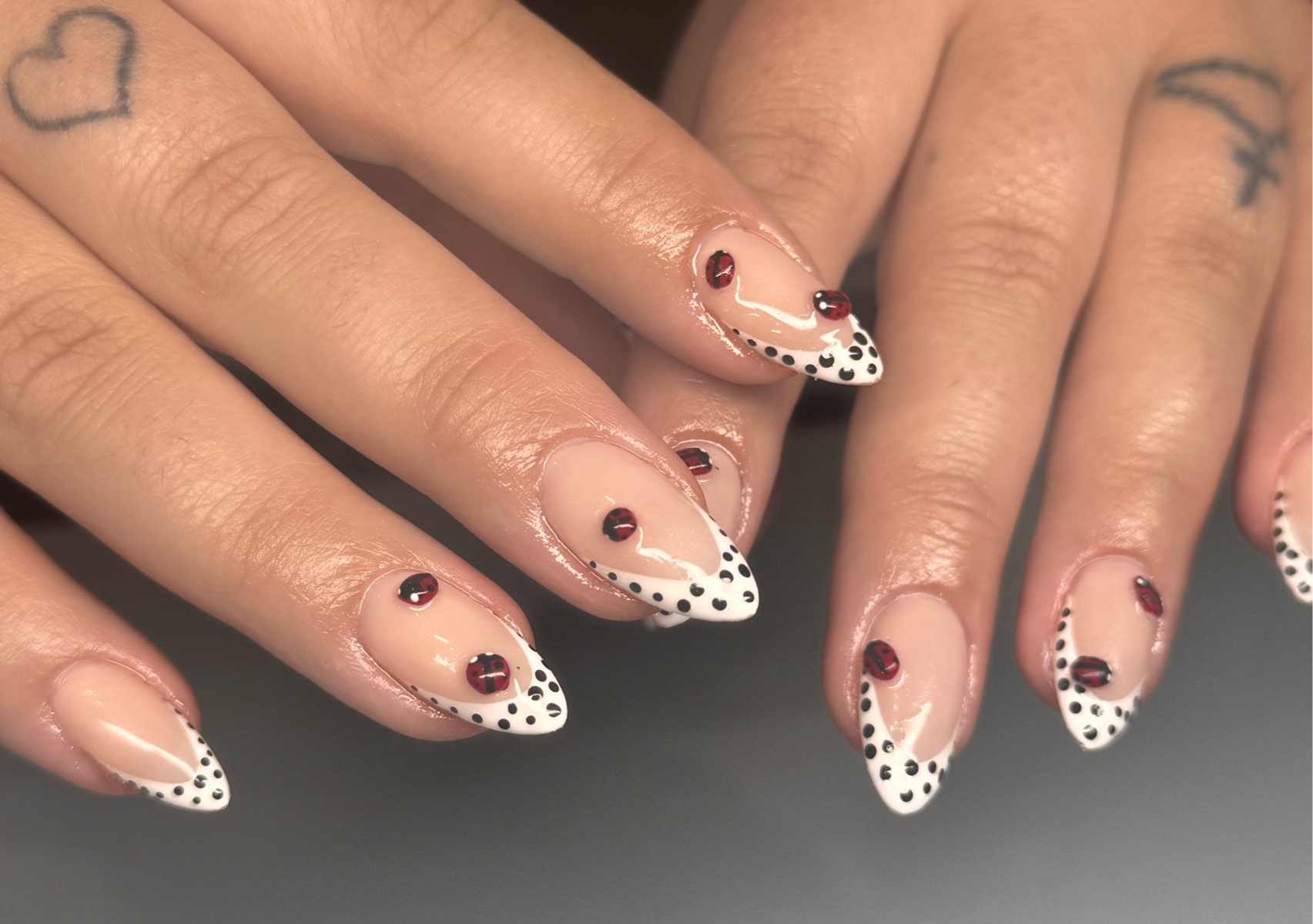 Tier 2 Acrylic full set 