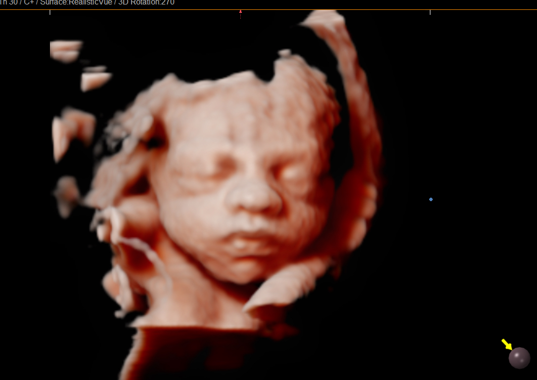 4D/HD Live 4•8 ONLY