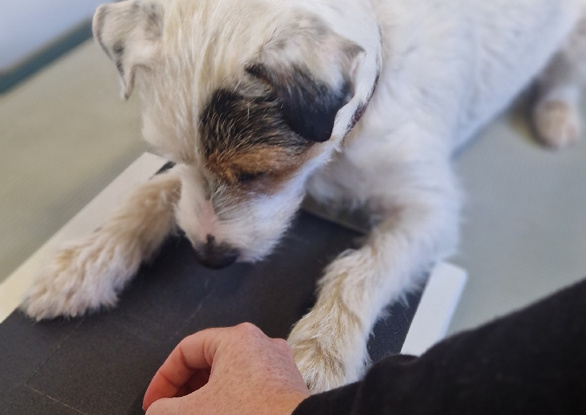 Nail Training Services