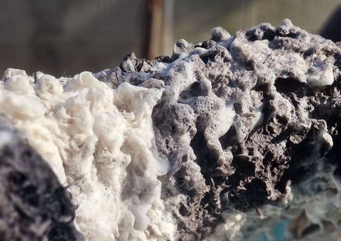 Extra Large dog (Labradoodle to Great Dane) 