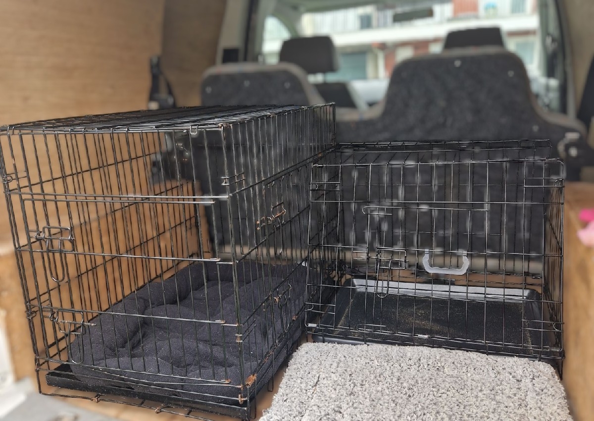 Transportation to and from the salon. 