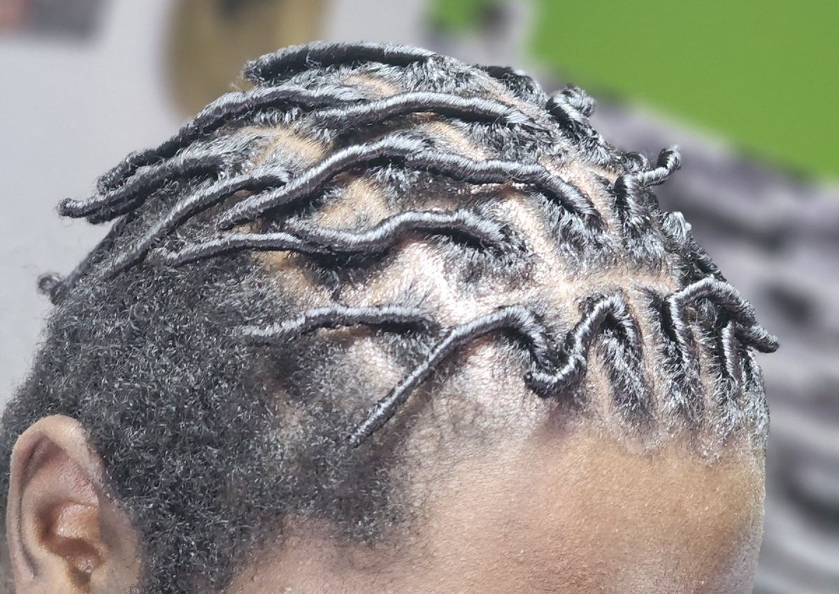 Starter Locs