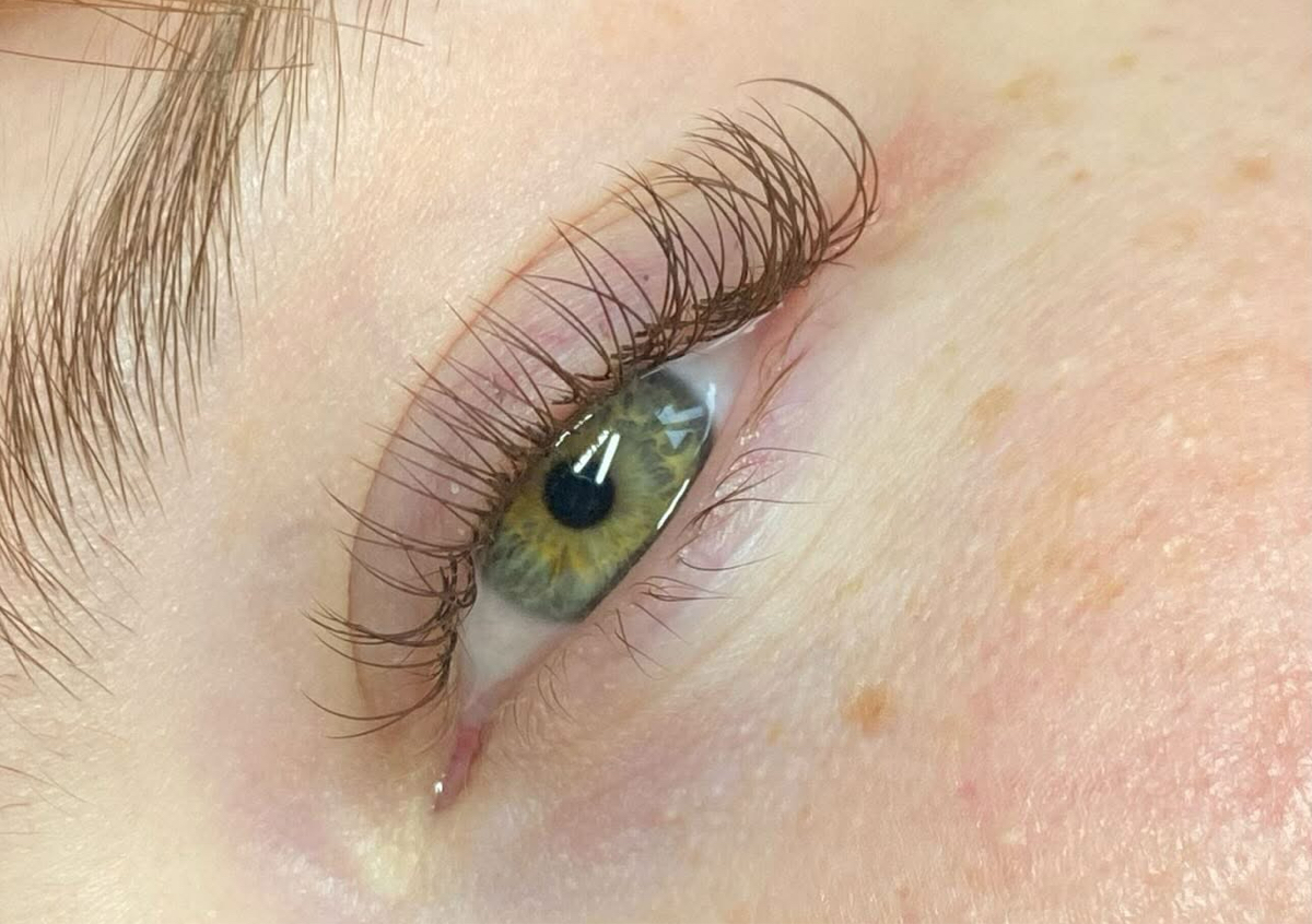 Brown classic full set 