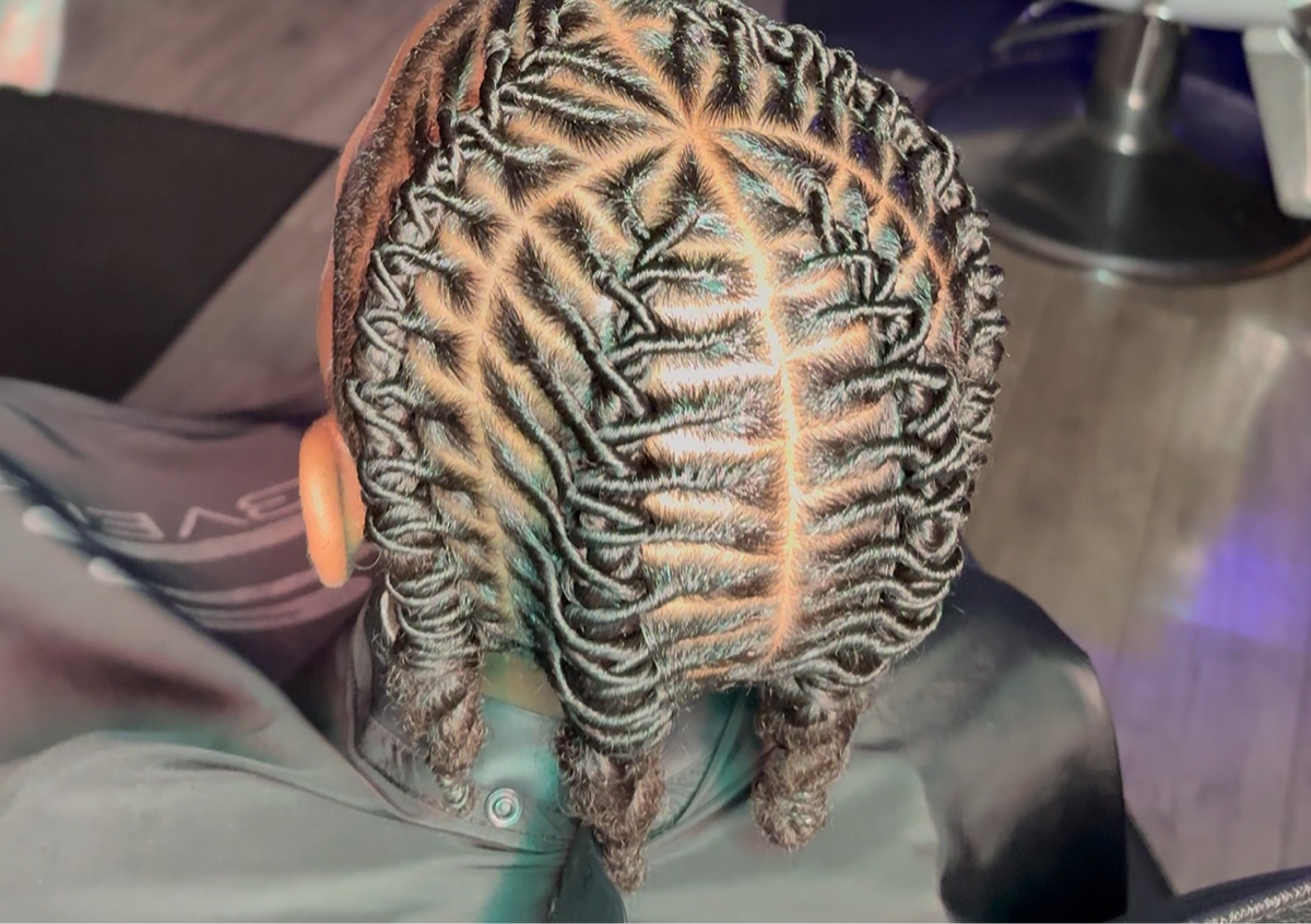 Barrel twist braids