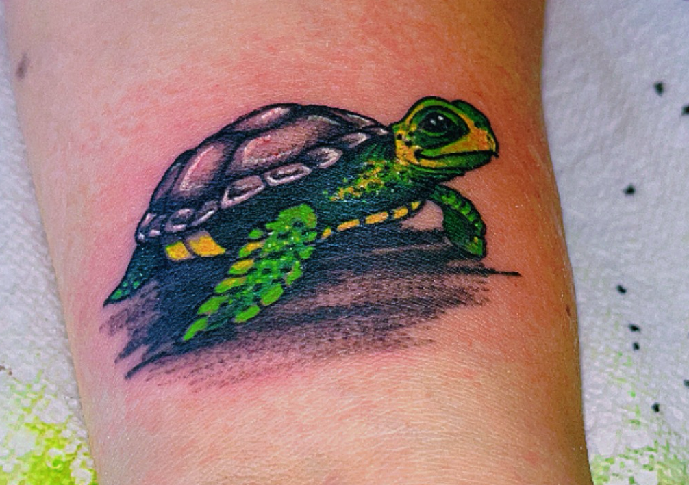  🚀RABBIT EFFECT 👽🪐