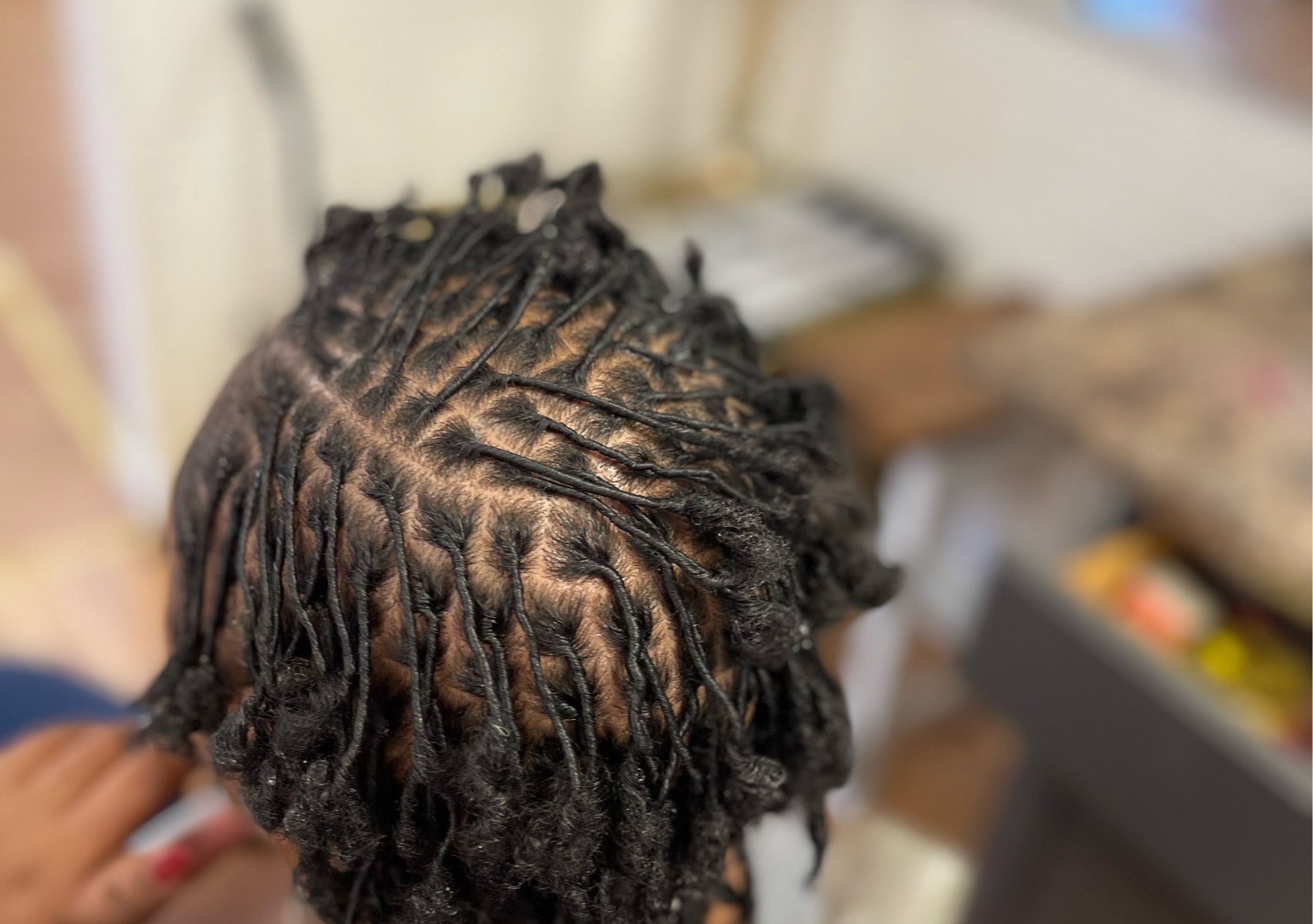 Sister Loc/ Micro Loc Starters