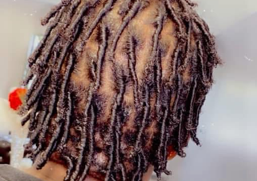 Starter locs (2/2)