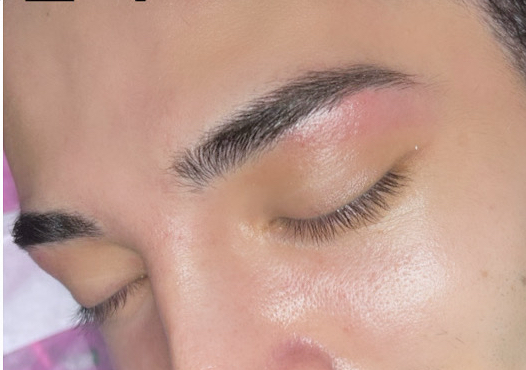 Brow Wax (Includes Mapping + Tweezing)