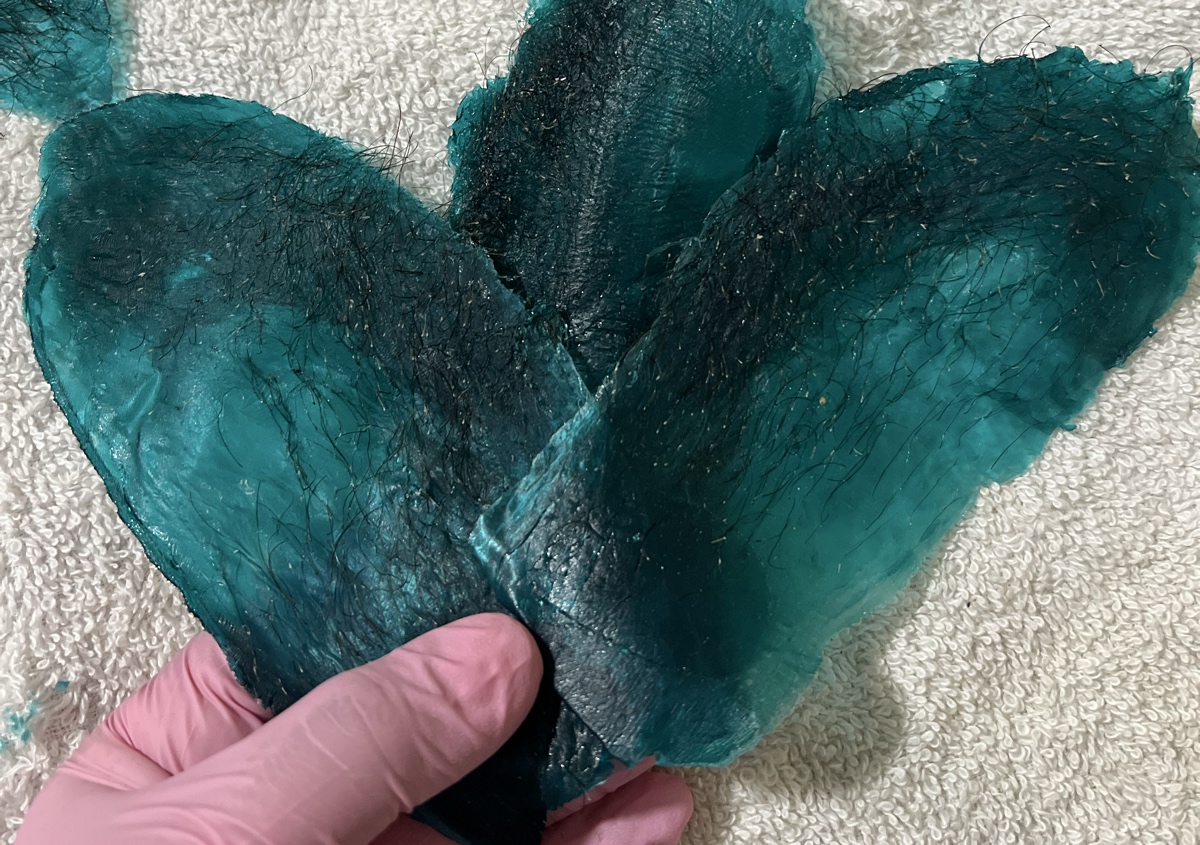 Bikini Wax