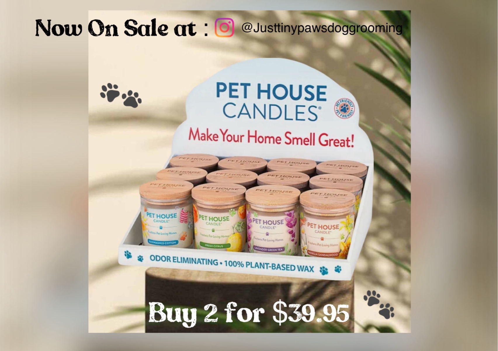 Sale. Pet SAFE Candle. TOXIC FREE . 