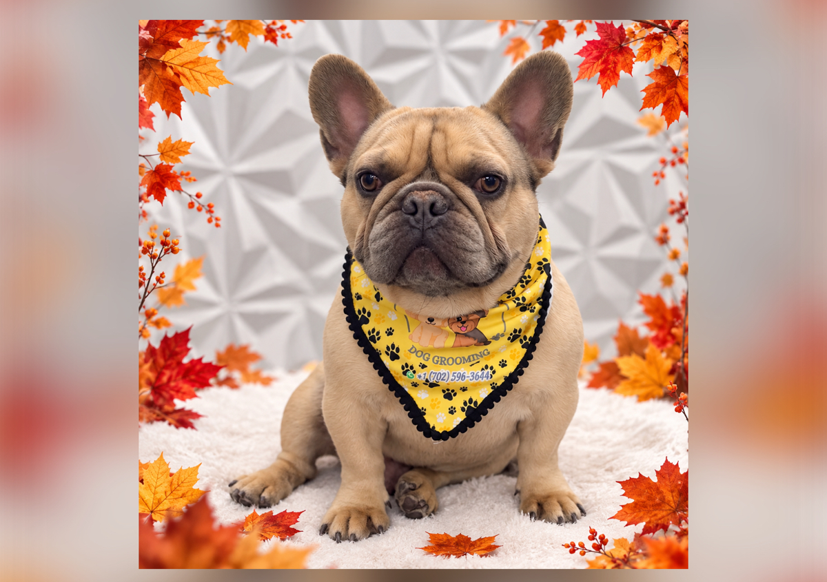 Bath & nails/ short -smooth hair Pets. (16-30lbs) 