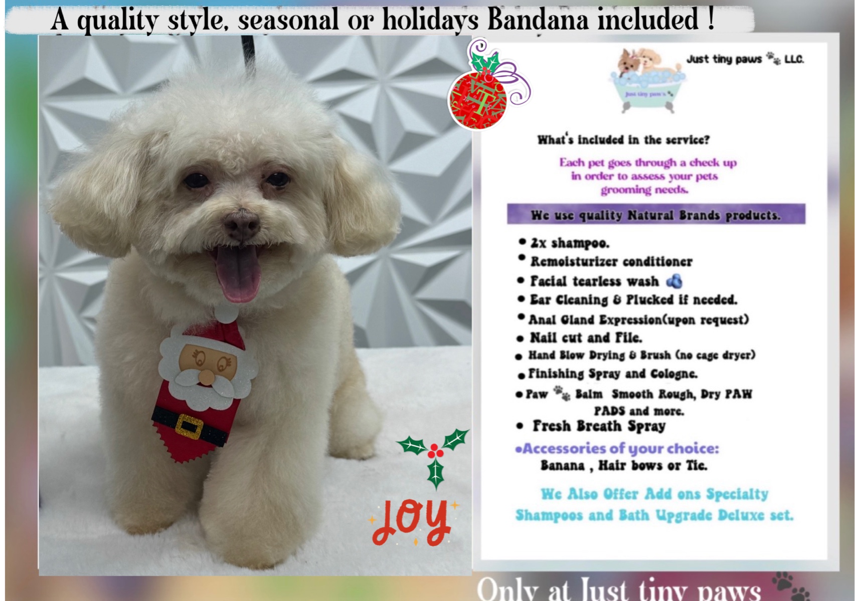 Full Grooming(up To 15lbs) /Bath & body hair cut +