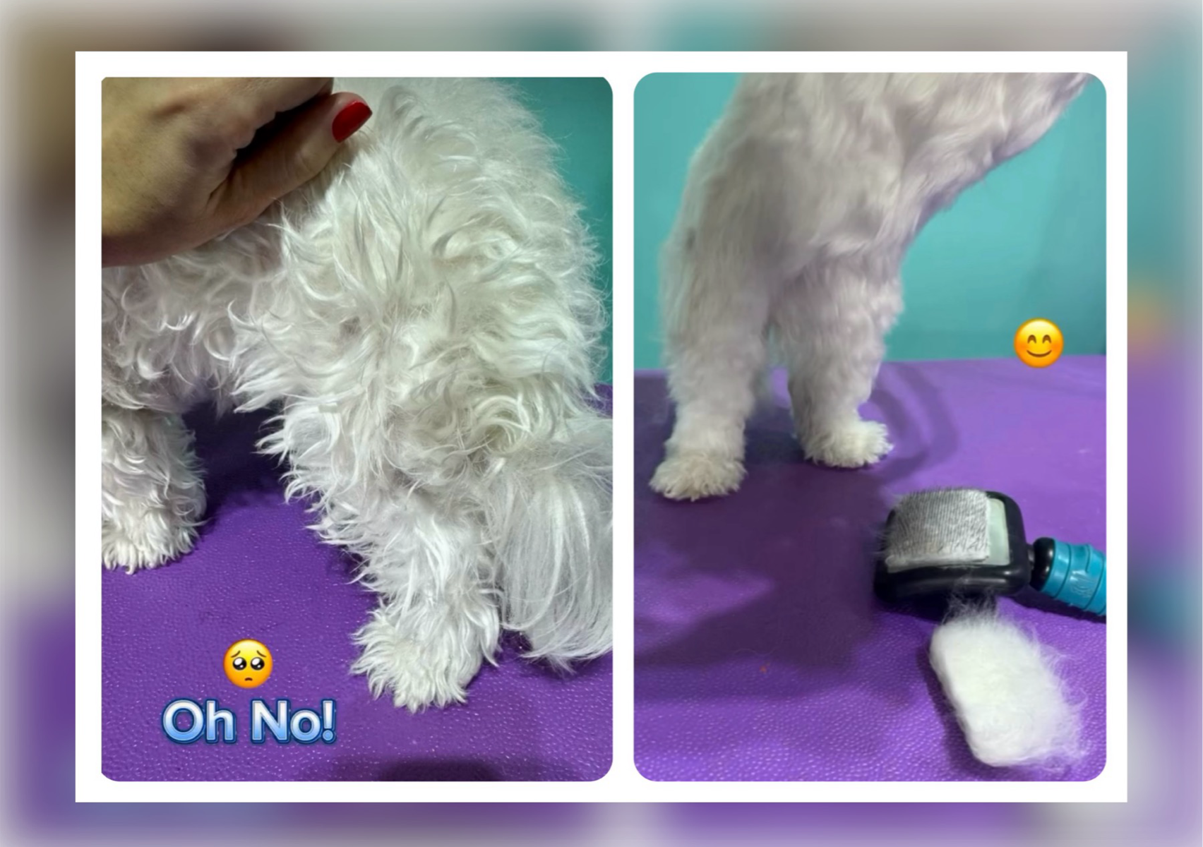 Additional de-matting services with detangler spray 