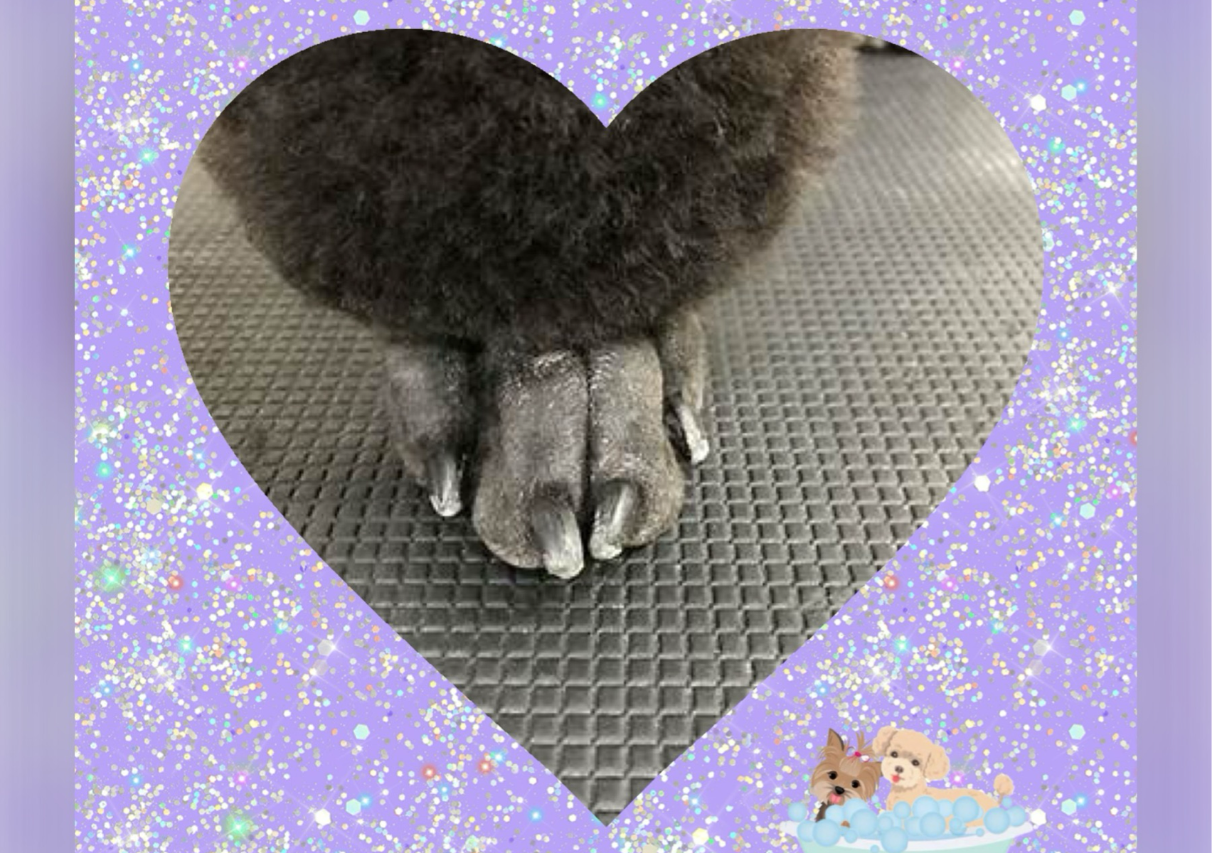 Poodle feet shaved style. 