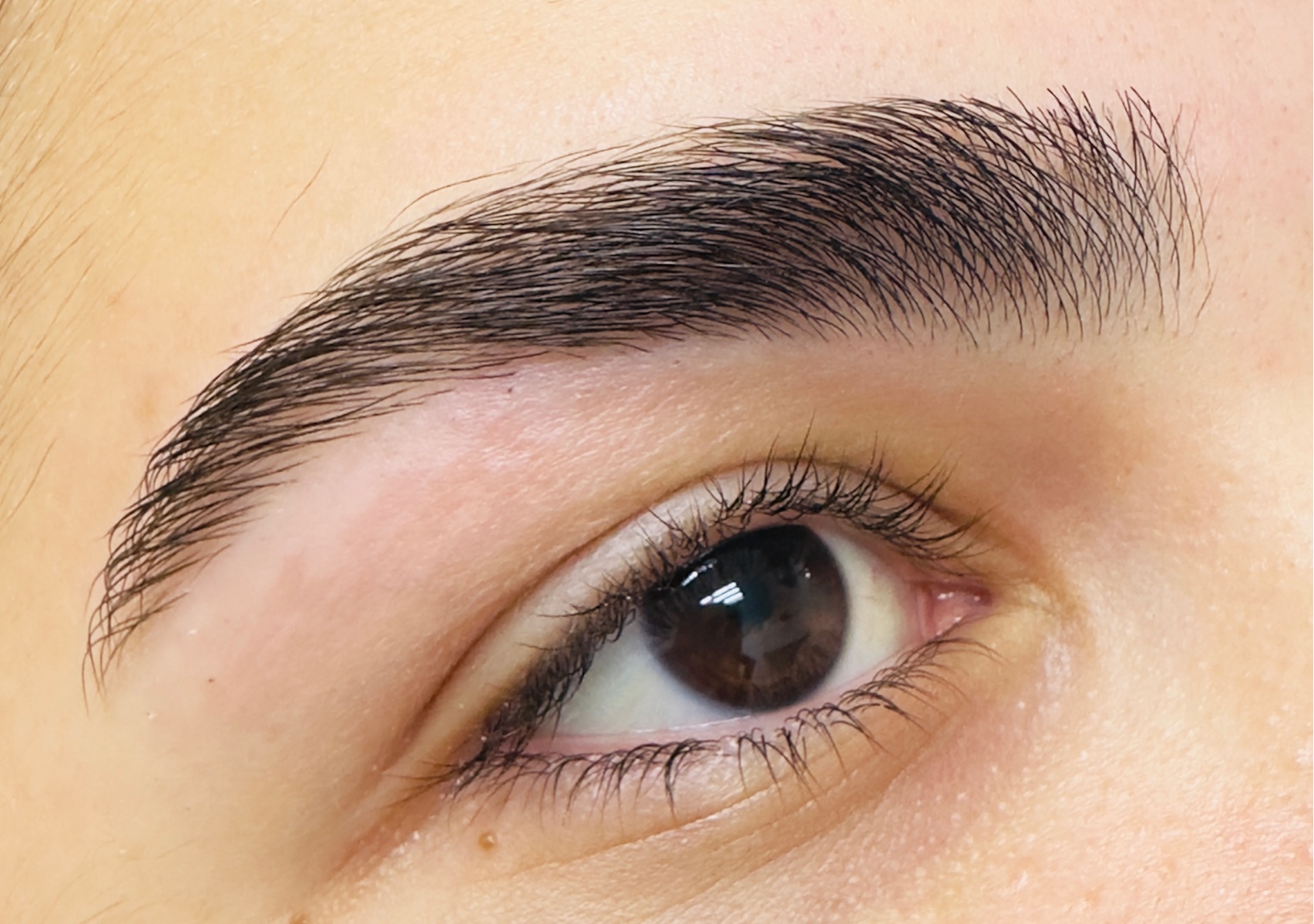 Cejas → Eyebrows