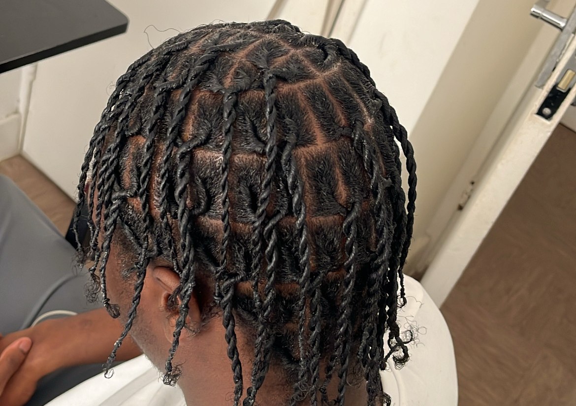 Small Plug Twists