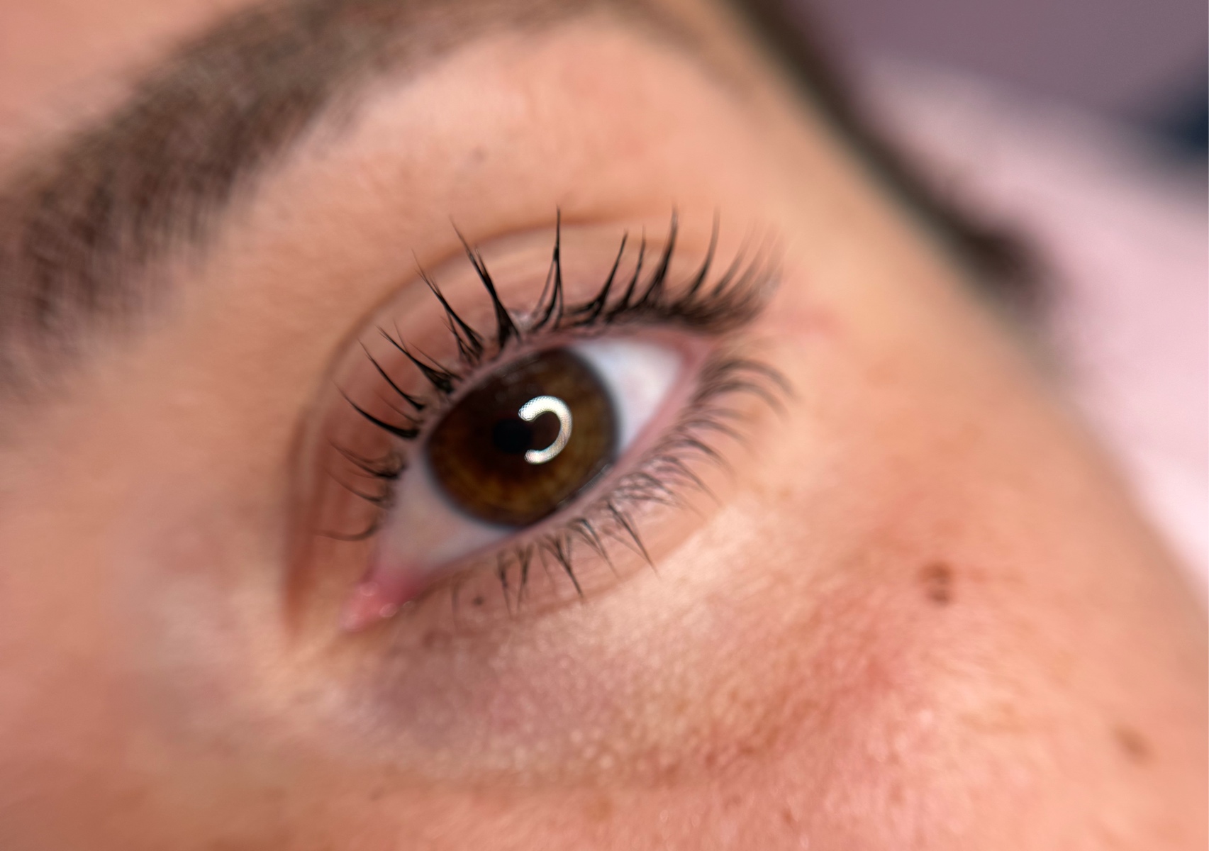Lash Lift + Tinte