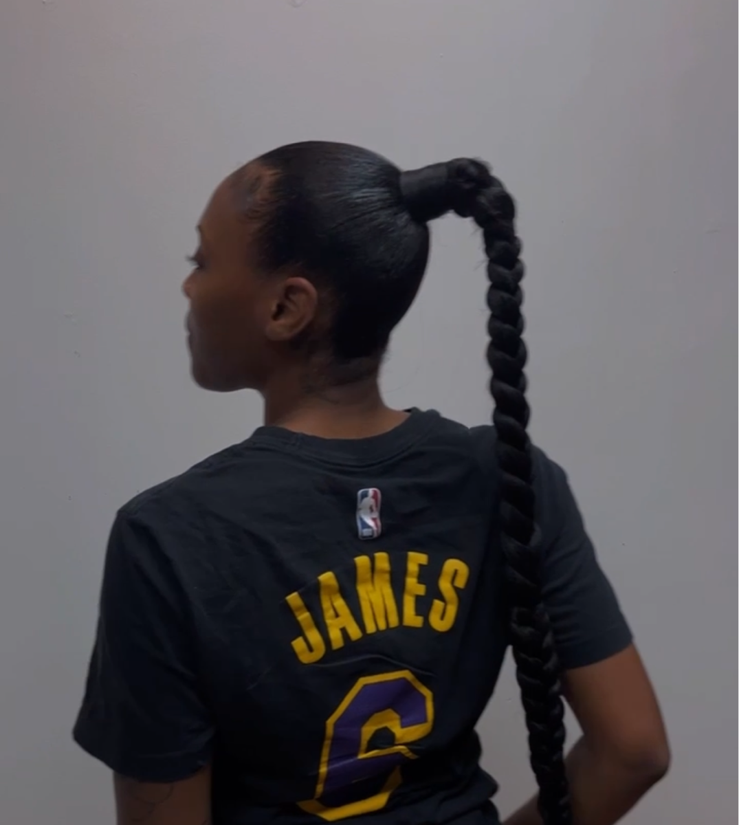 Sleek braided ponytail 