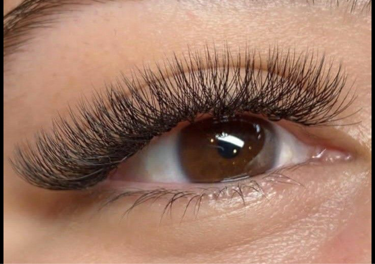 4D Lashes 