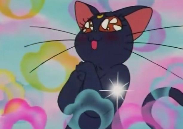 New Client Vivid Consultation 