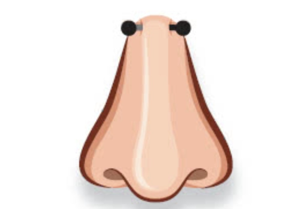 Bridge Nose Piercing