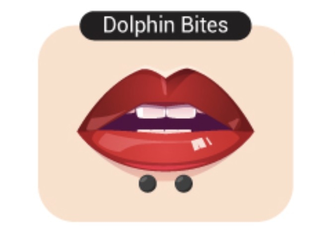 Dolphin Bites Lip Piercing