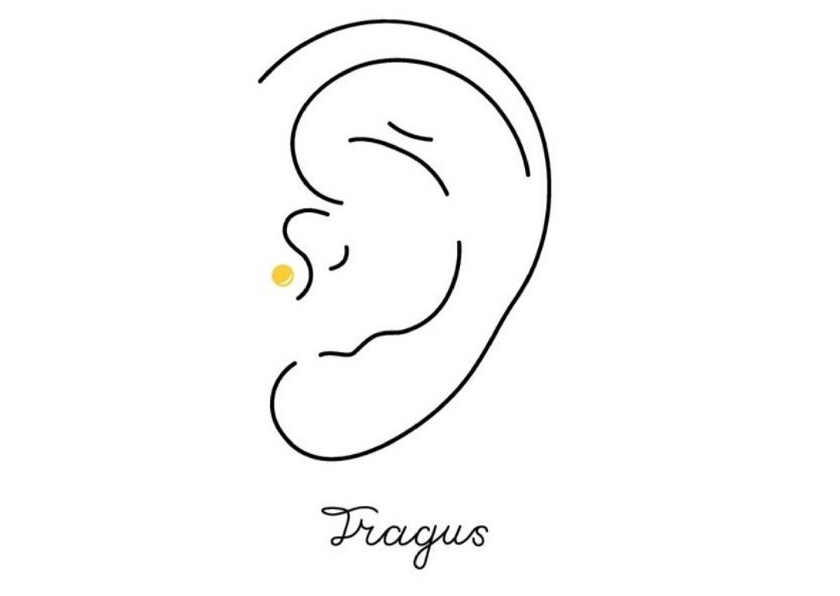 🌟 Standard 🌟 Tragus Ear Piercing