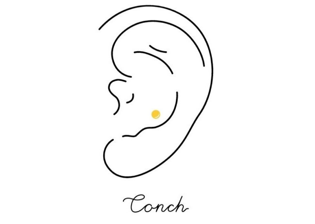 Conch Ear Piercing
