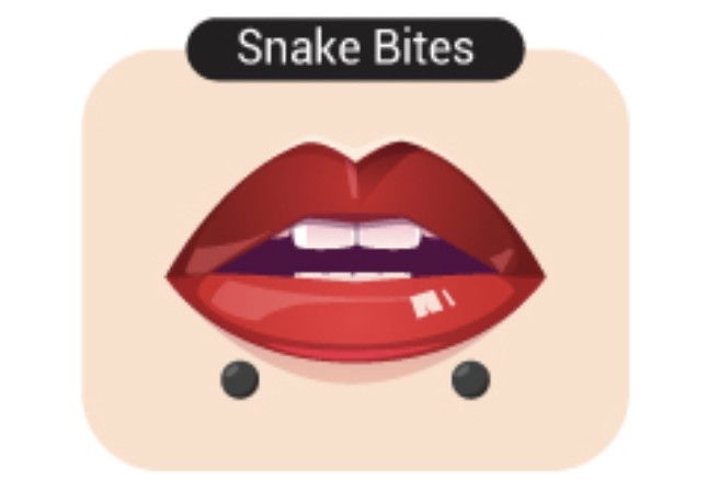 Snake Bites Lip Piercing